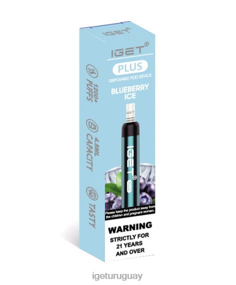 IGET Plus más 4J22T32 hielo de arándanos