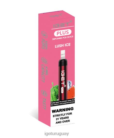 IGET Vape Online más 4J22T33 hielo exuberante