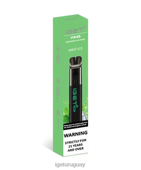 IGET Sale rey 4J22T108 hielo de menta