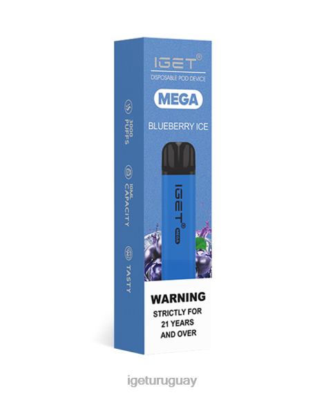 IGET Eshop mega 4J22T126 hielo de arándanos