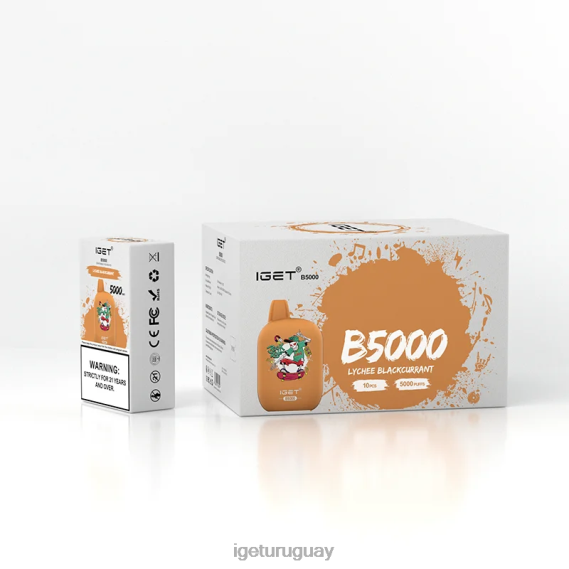 IGET Online b5000 4J22T309 lichi grosella negra